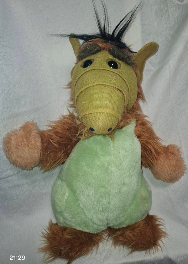 Alf im grünen Shirt