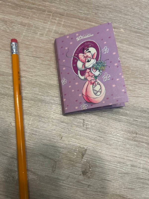 Diddlina Ballerina Notizheft