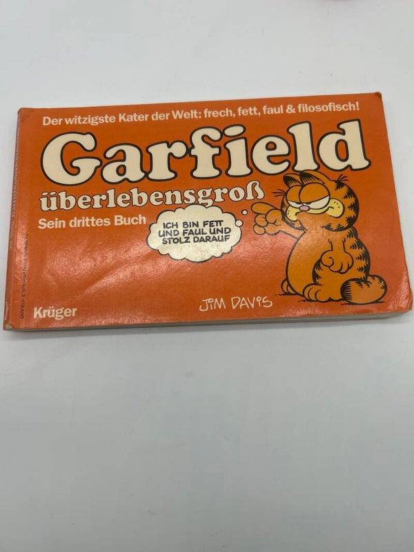 Garfield Sein Drittes Buch