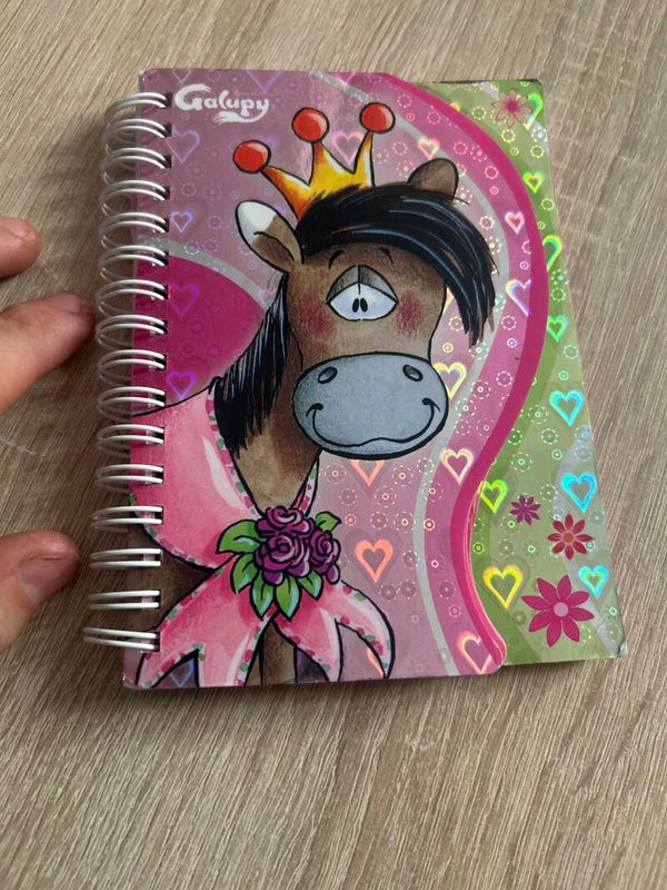 Galupy Ringnotzibuch A6