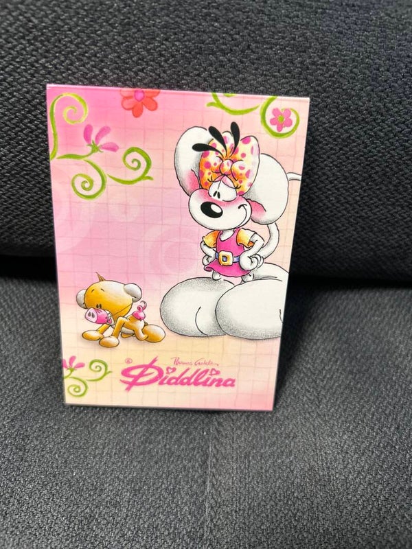Diddlina kleines Notizheft
