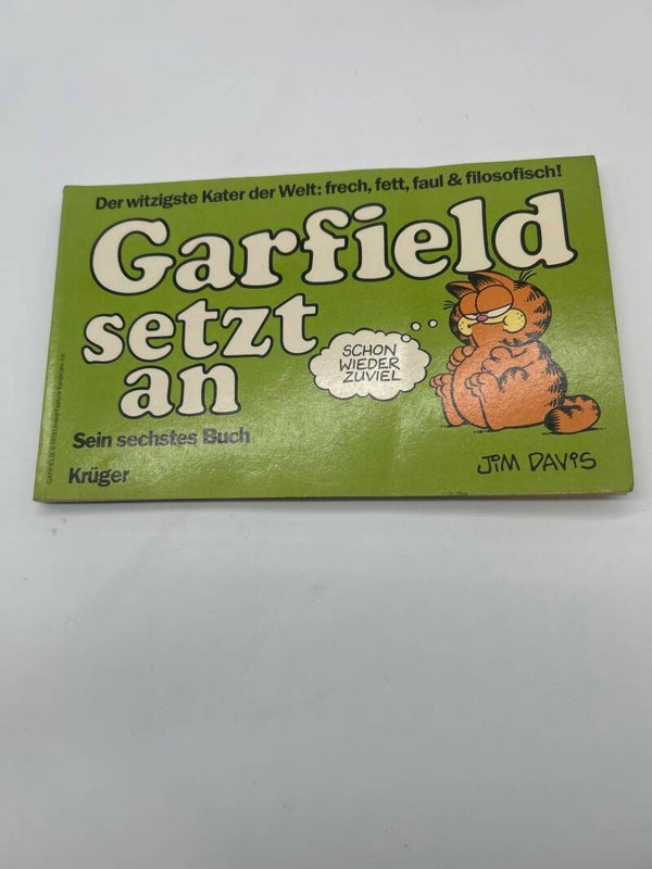 Garfield Sein Sechstes Buch