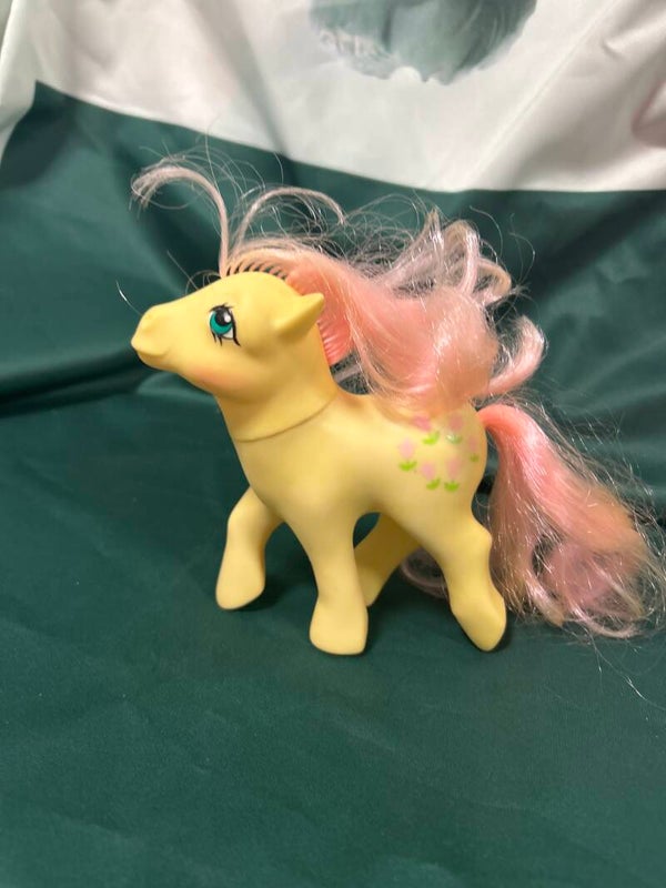 Pony