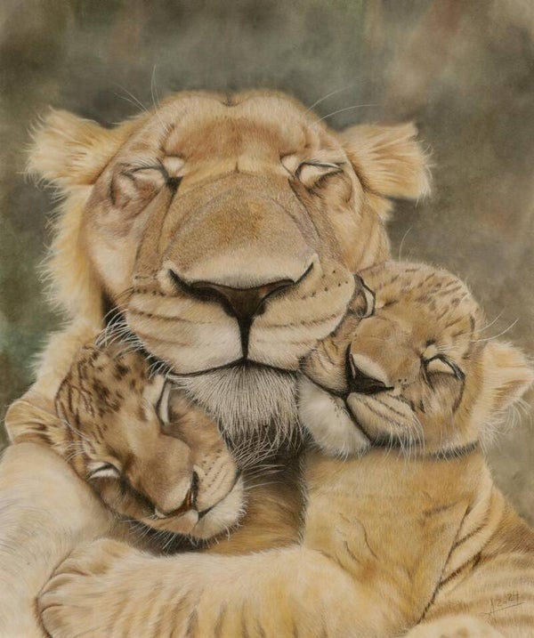 Lion Print