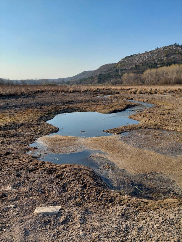 Visita Guidata del Carso dal Lago di Doberdò al Sacrario Militare di Redipuglia: paesaggi naturali e paesaggi della Grande Guerra