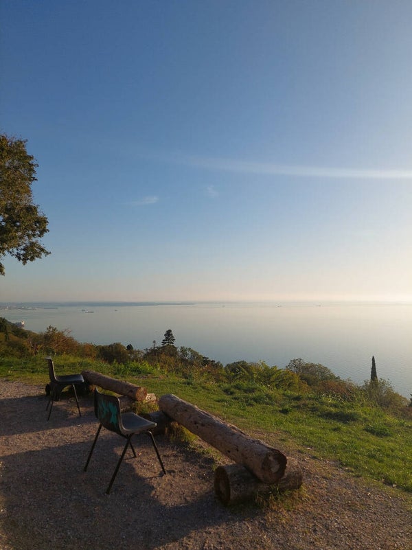 Visita all'Orto botanico di Trieste, al Bosco del Farneto e al Parco di Villa Revoltella: paesaggi urbani non urbani