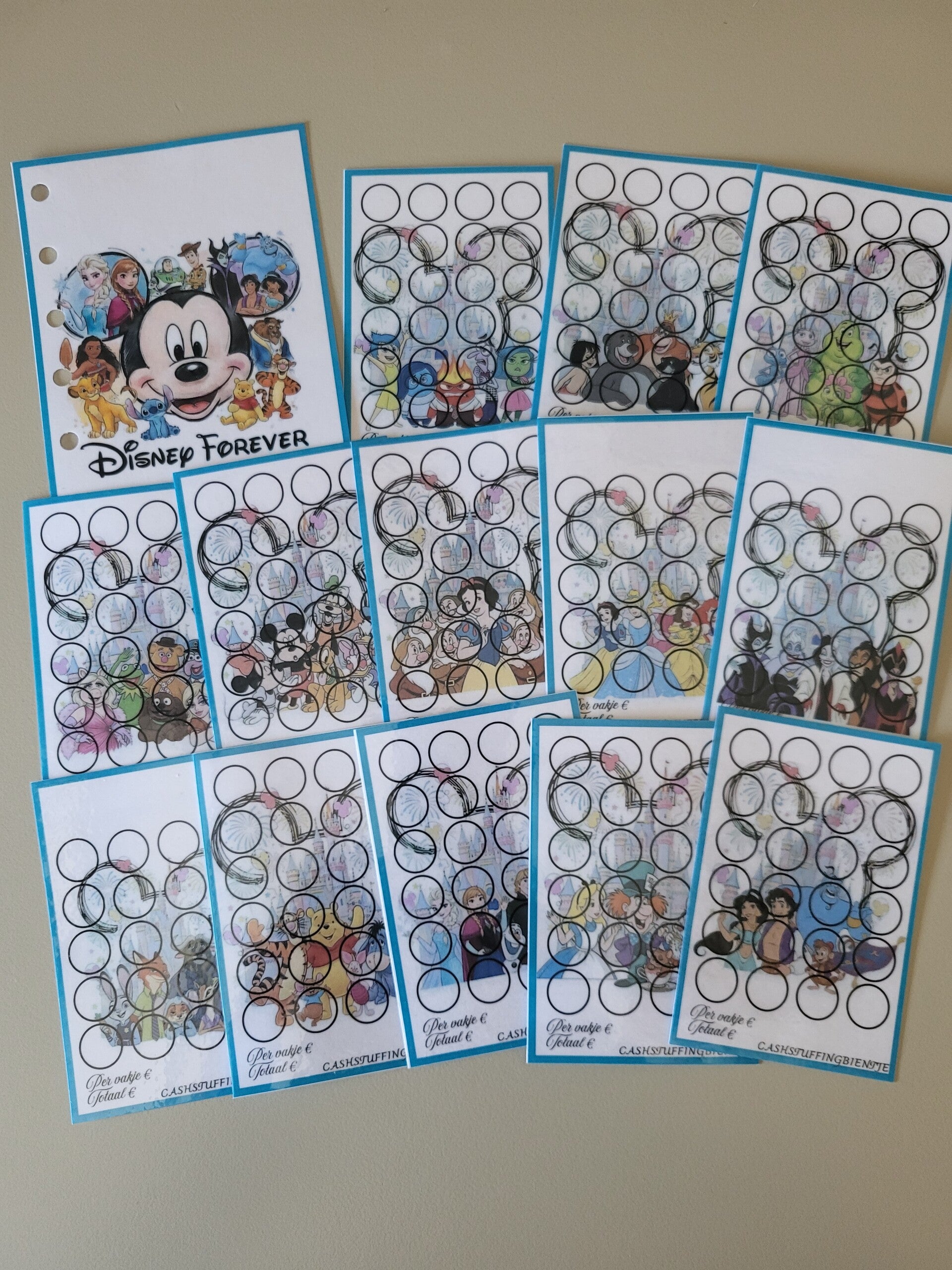 Disney challenge