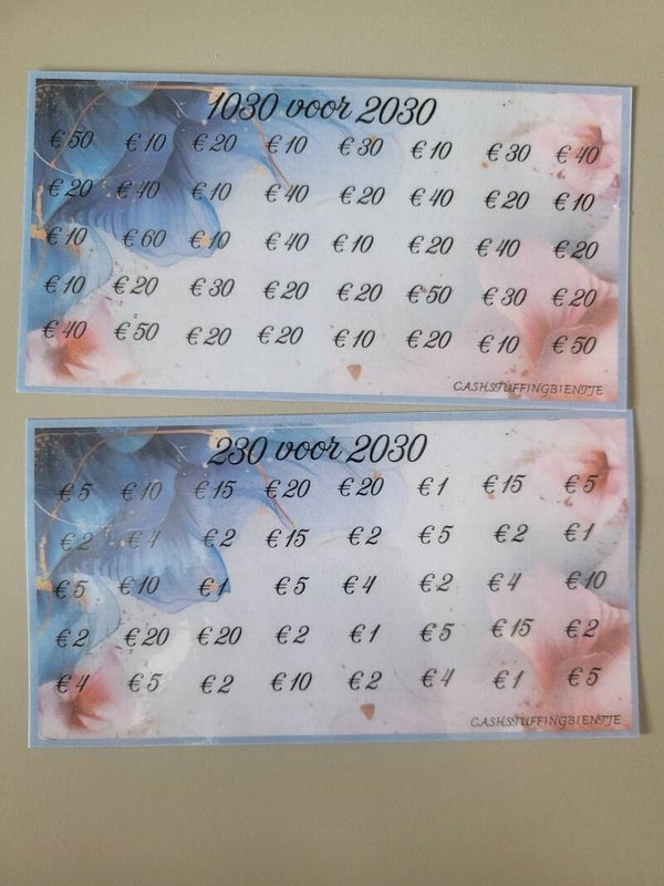 Foutje Jaar 2030 challenge