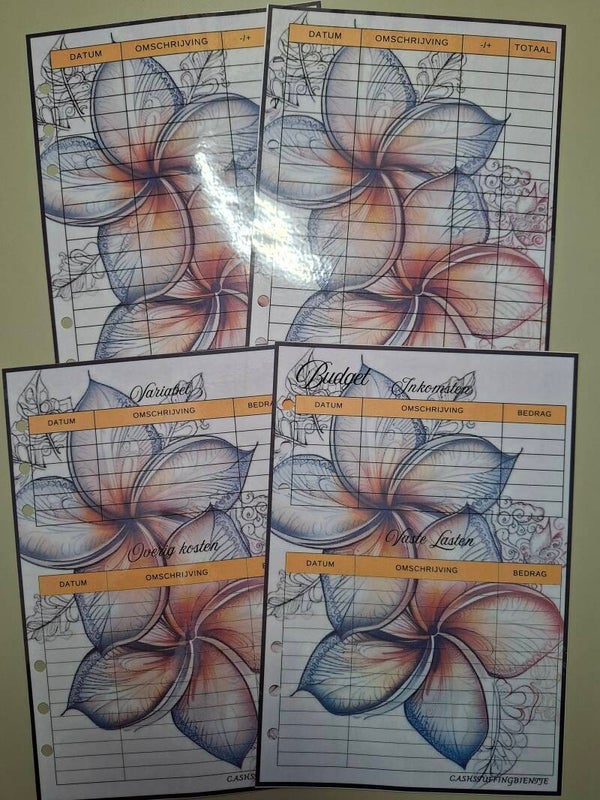 Foutje Budget Planner extra 2027
