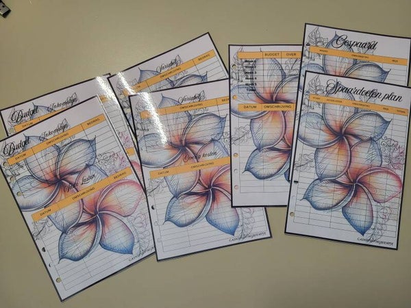 Budget Planner extra 2027