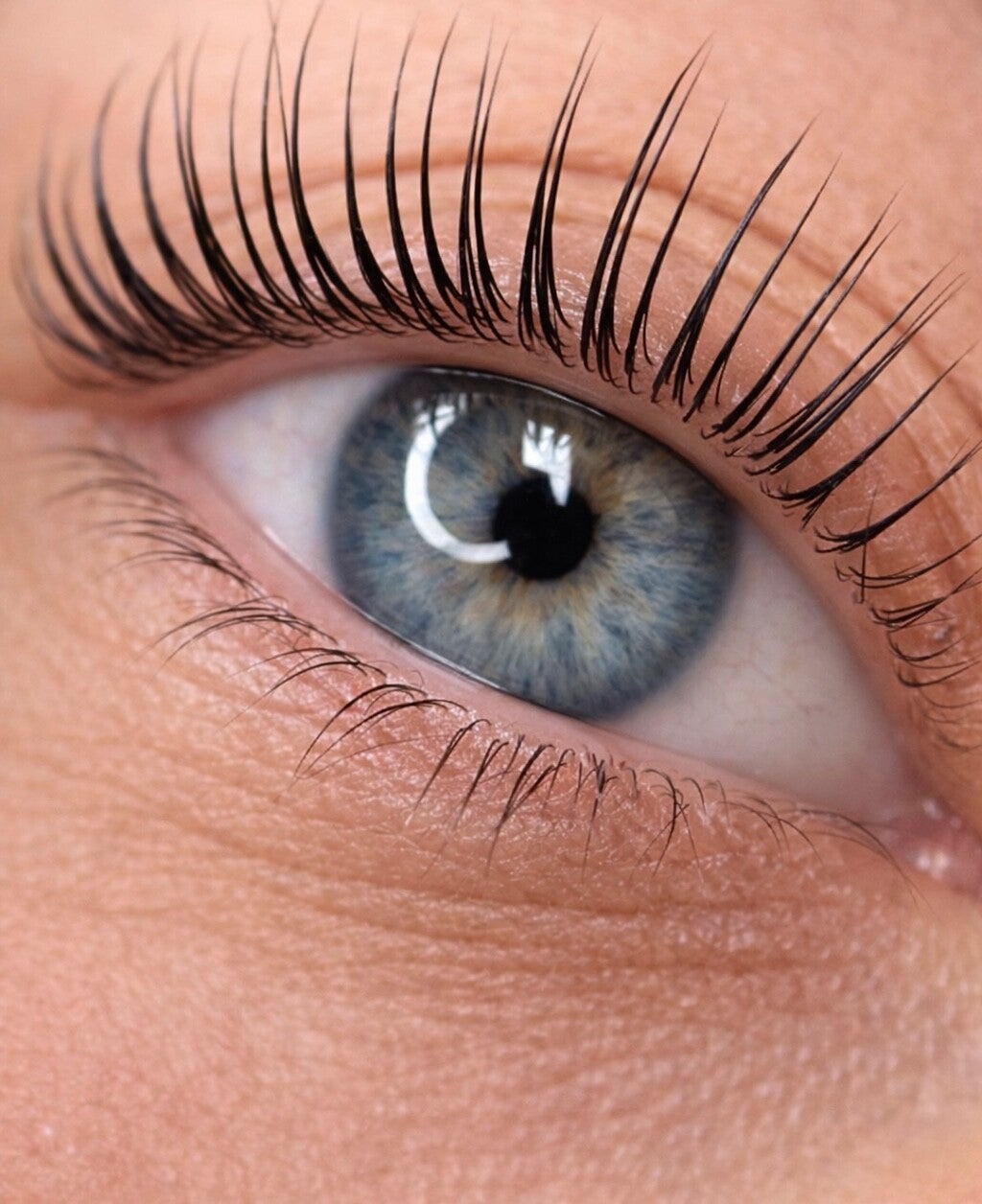 Formation Rehaussement de cils en présentiel