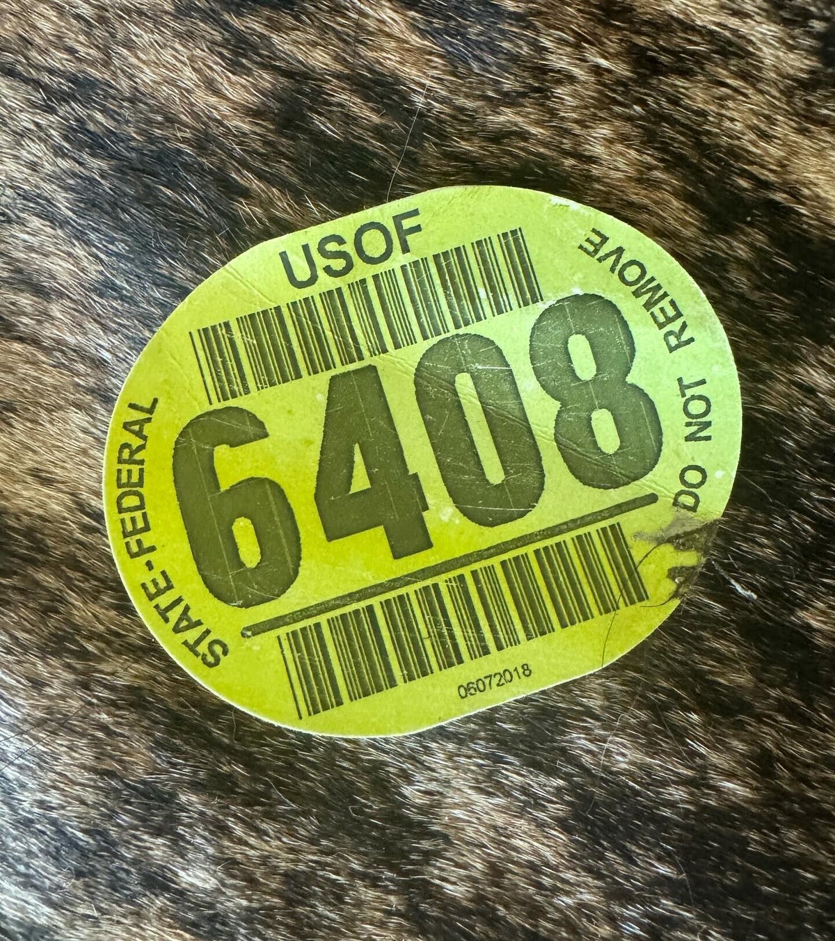 About Us | JB Equine Rescue
