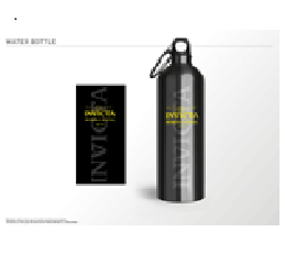 Invicta aluminium Flaske