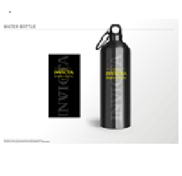 Invicta aluminium Flaske