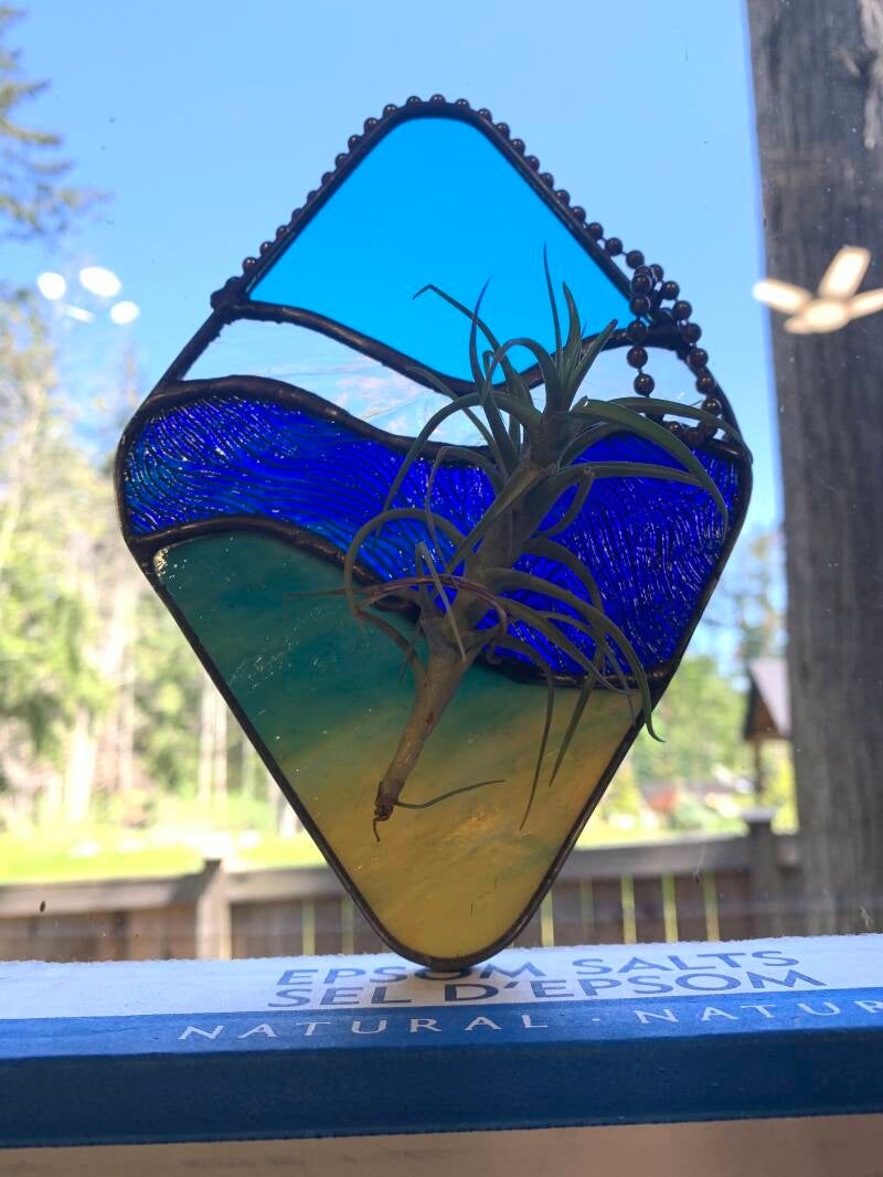 $30 Air plant holder
