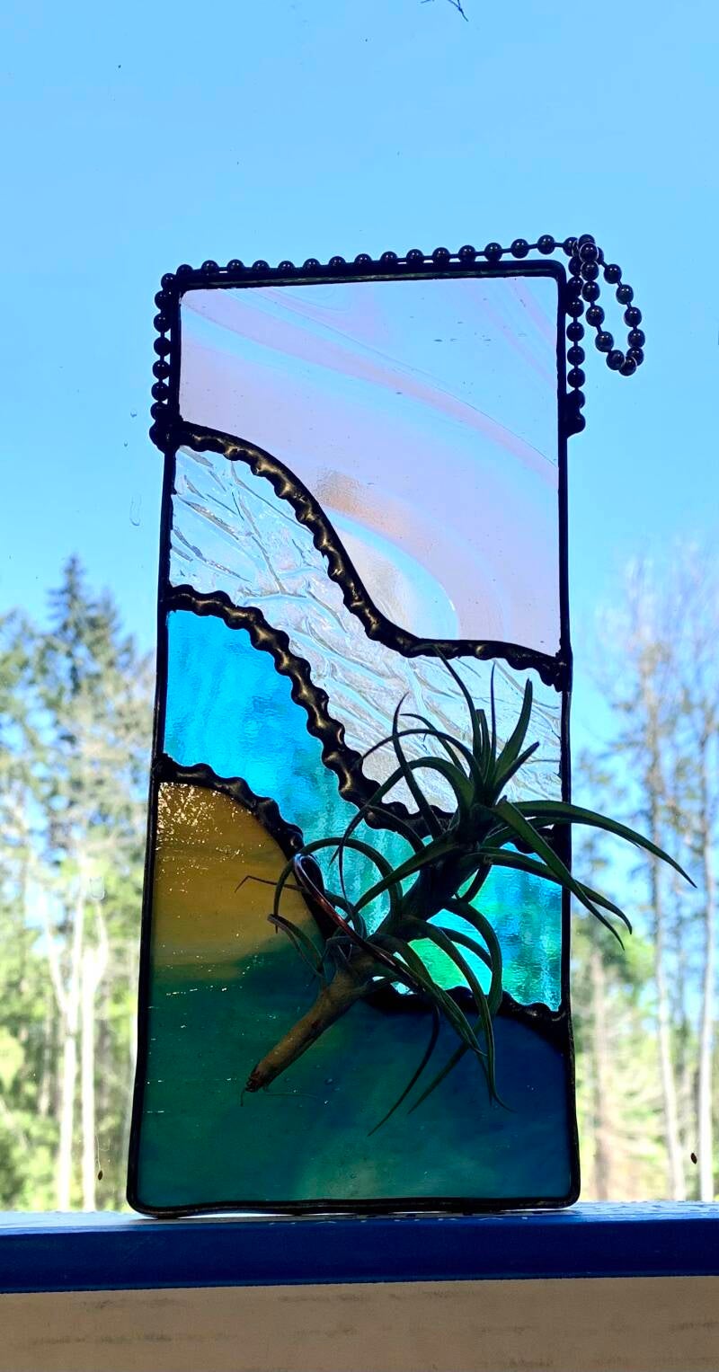 $30 Air plant holder