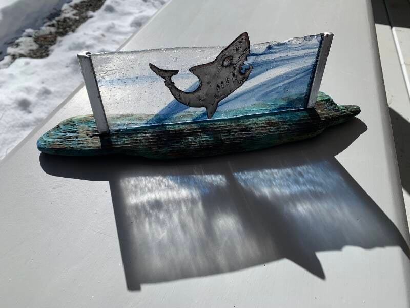 $40 Shark