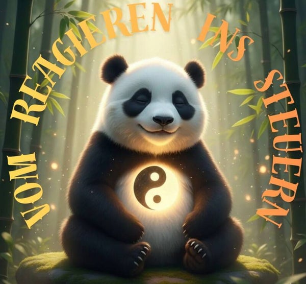 Begleitbuch/ Arbeitsbuch " Projekt Panda"
