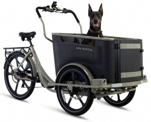 VAN RIXTEL DOG DESSERT SAND E-BAKFIETS
