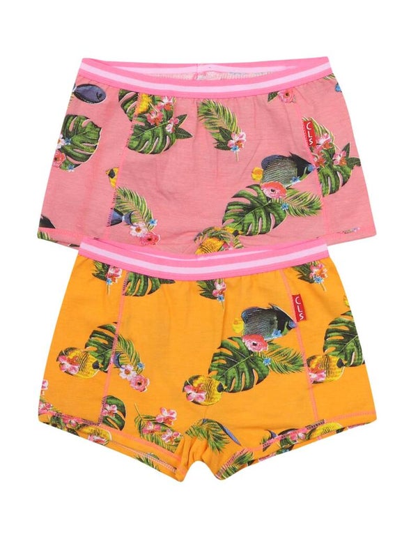 Claesen's |  2-Pack Boxer Fish