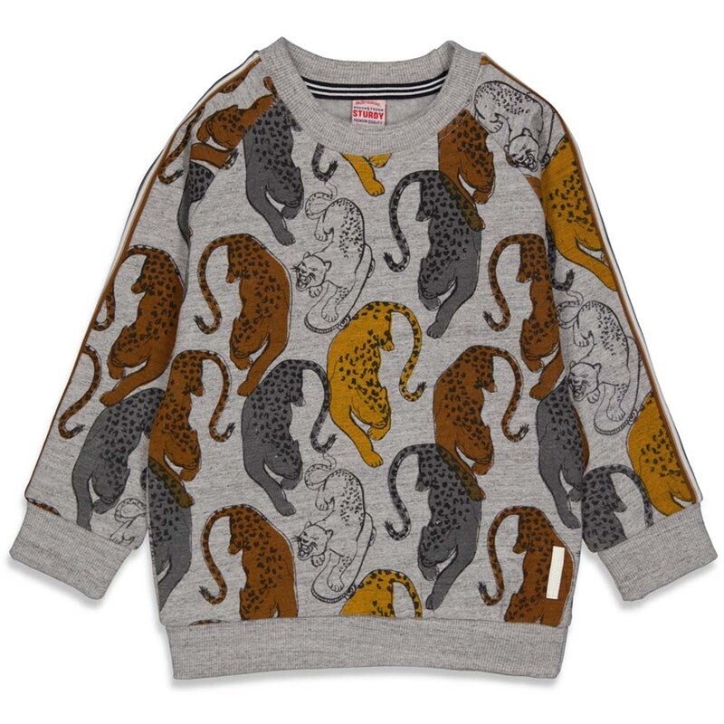 Sturdy | Sweater Grey Panther - On A Roll