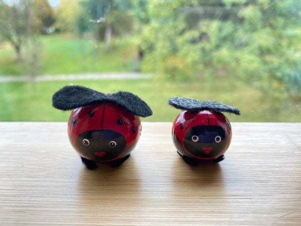 Bollekes  set lieveheerstbeestje