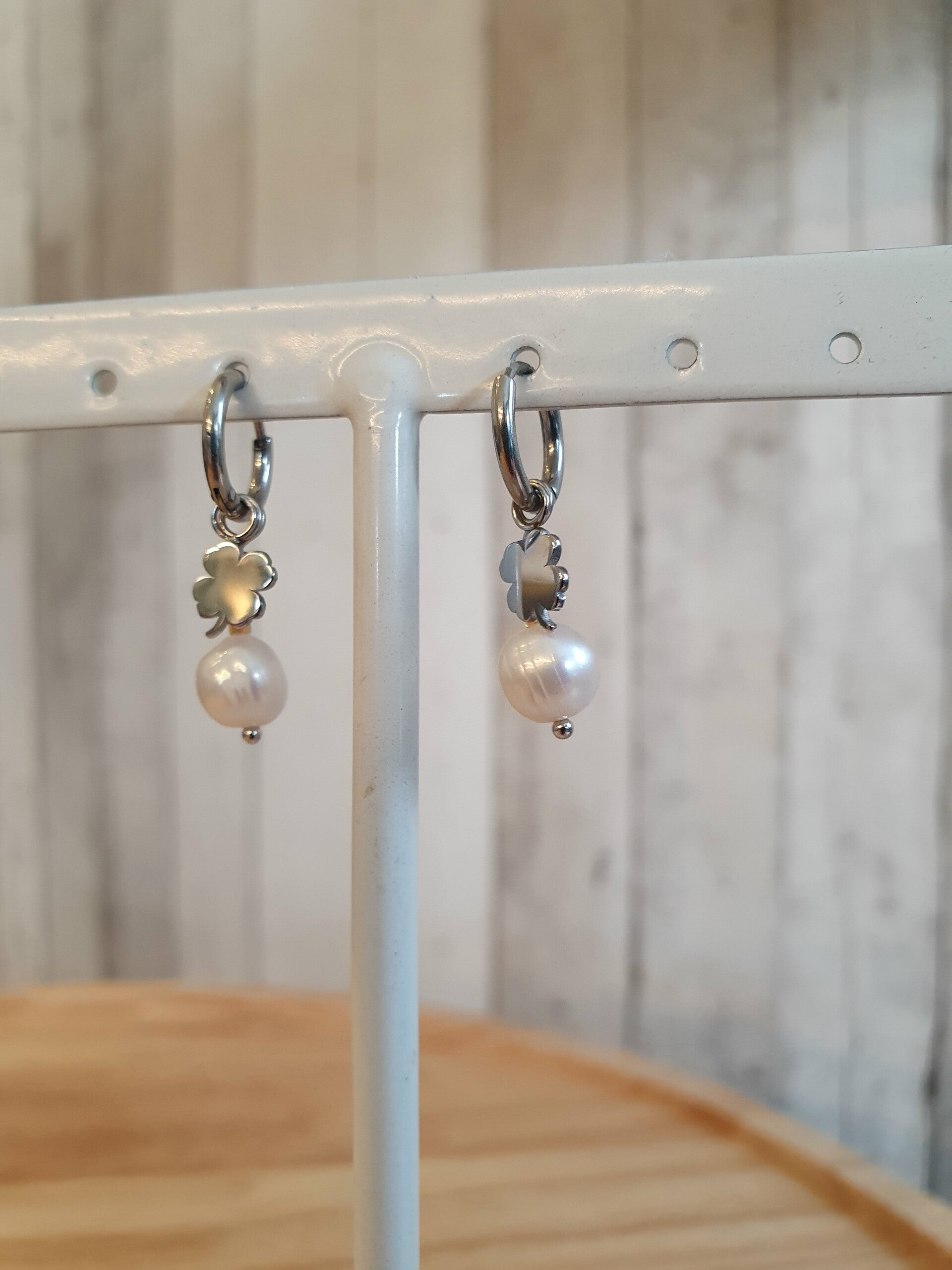 Stainless Oorbel klavertje 4