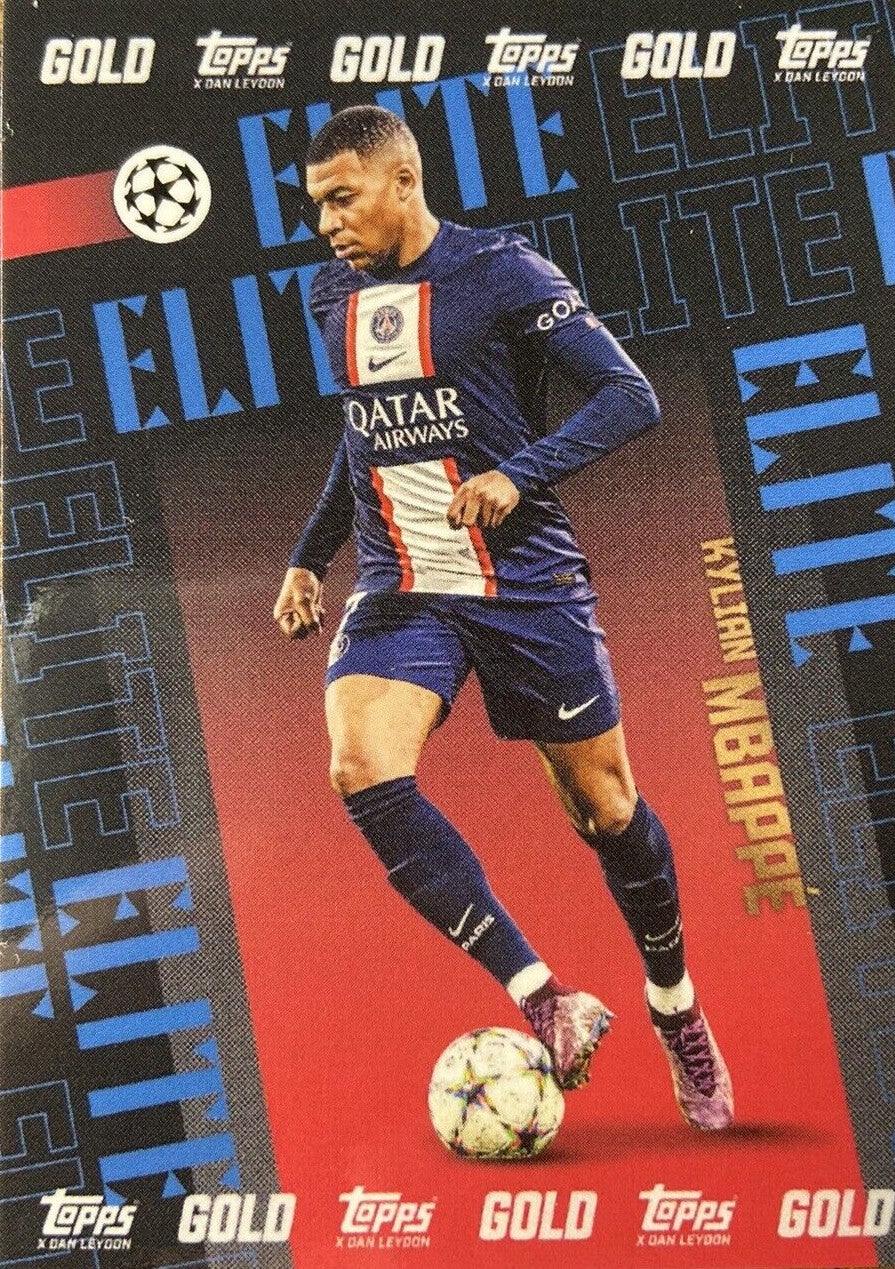 その他 KYLIAN MBAPPE  DAN LEYDON  PSA10 その他 KYLIAN MBAPPE DAN LEYDON PSA10 KYLIAN MBAPPE DAN