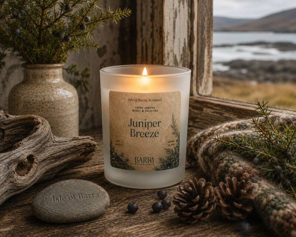 Juniper Breeze frosted glass candle