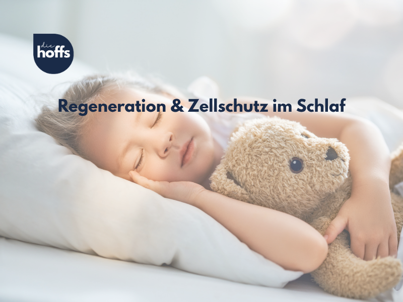 Mikroskopische Analyse von Hausstaubmilben und dem Enzym Guanin: Fachliche Ursachenforschung zur Lufthygiene im Schlafzimmer für Kunden in Luxemburg, dem Saarland und Rheinland-Pfalz. Die Hoffs - Ihre HYLA Wasserstaubsauger-Experten.