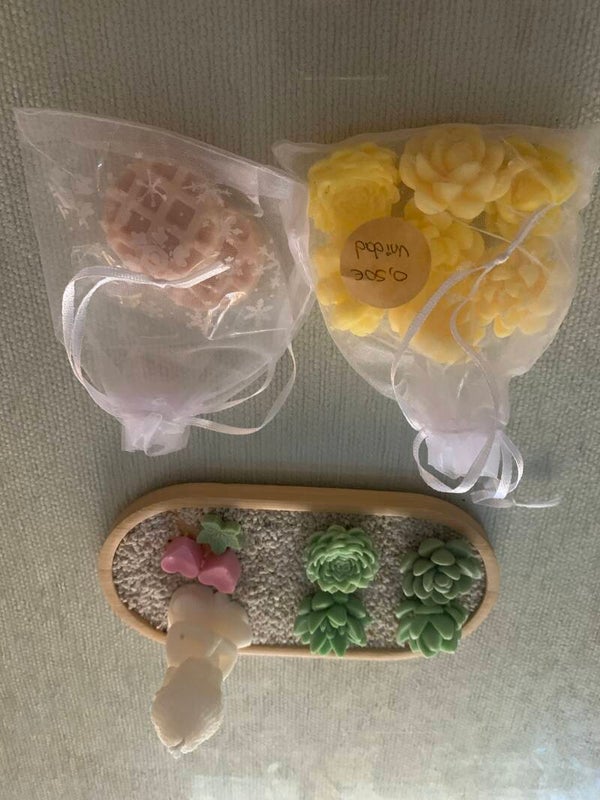 WAX MELTS - CERAS AROMÁTICAS CON FORMA DE SUCULENTAS