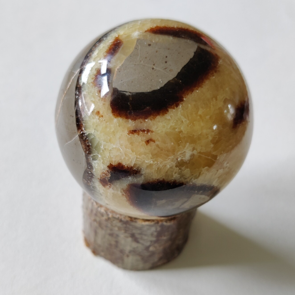 Septarie bol AA Kwaliteit 7 cm