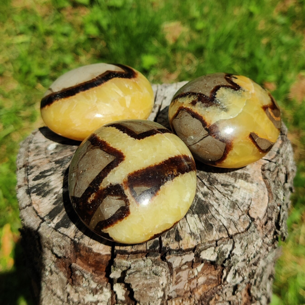 Septarie Grote Handsteen (Drakenei)  A Kwaliteit