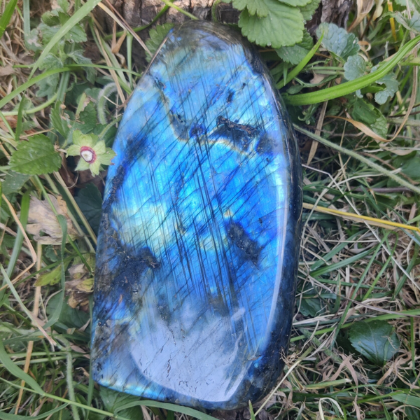 Labradoriet Sculptuur AA - SCL 1185