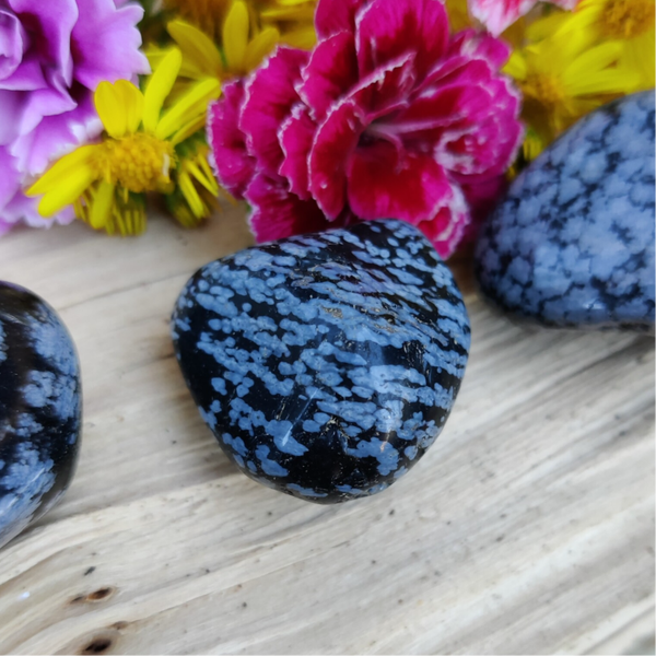 Sneeuwvlok Obsidiaan - Trommelsteen