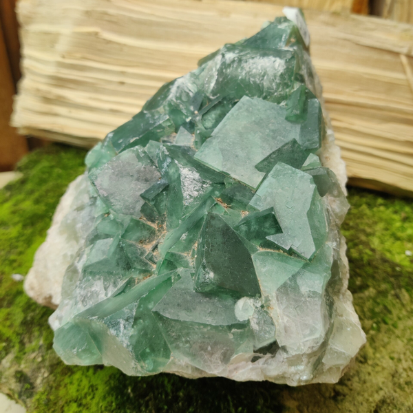 Fluoriet Ruw - 20 cm - 3.6 Kg