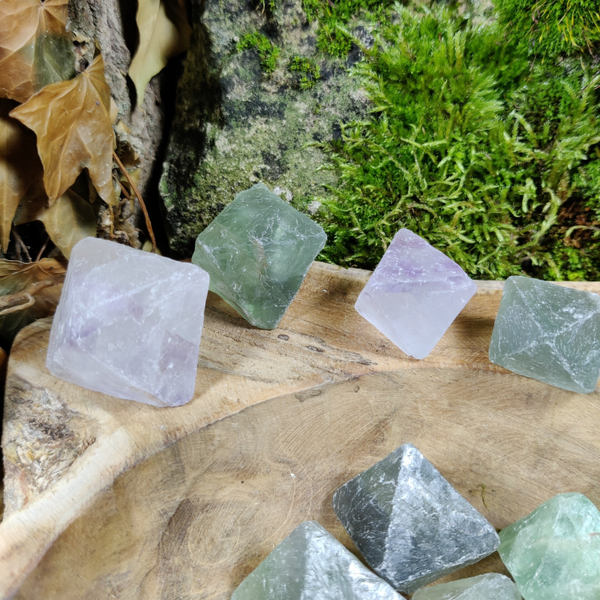 Fluoriet Oktaeder - 2,5 tot 12 cm