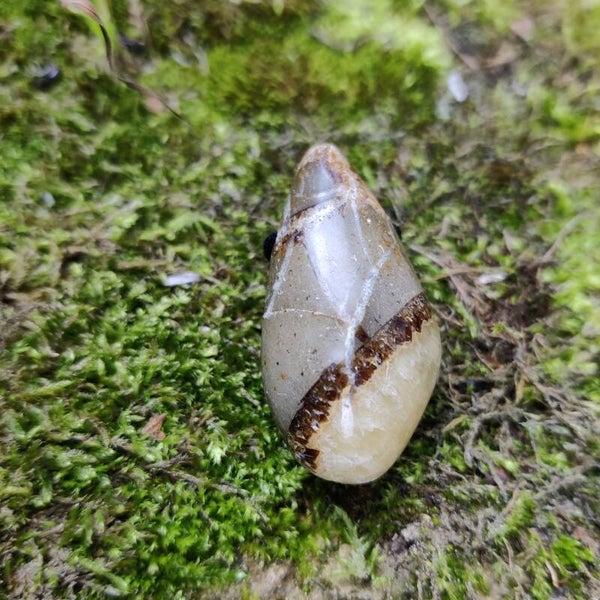 Septarie Hanger - Druppelvorm - 4 cm