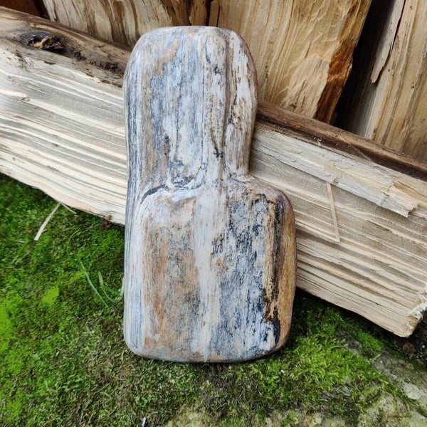 Versteend Hout Indonesïe - Sculptuur 2