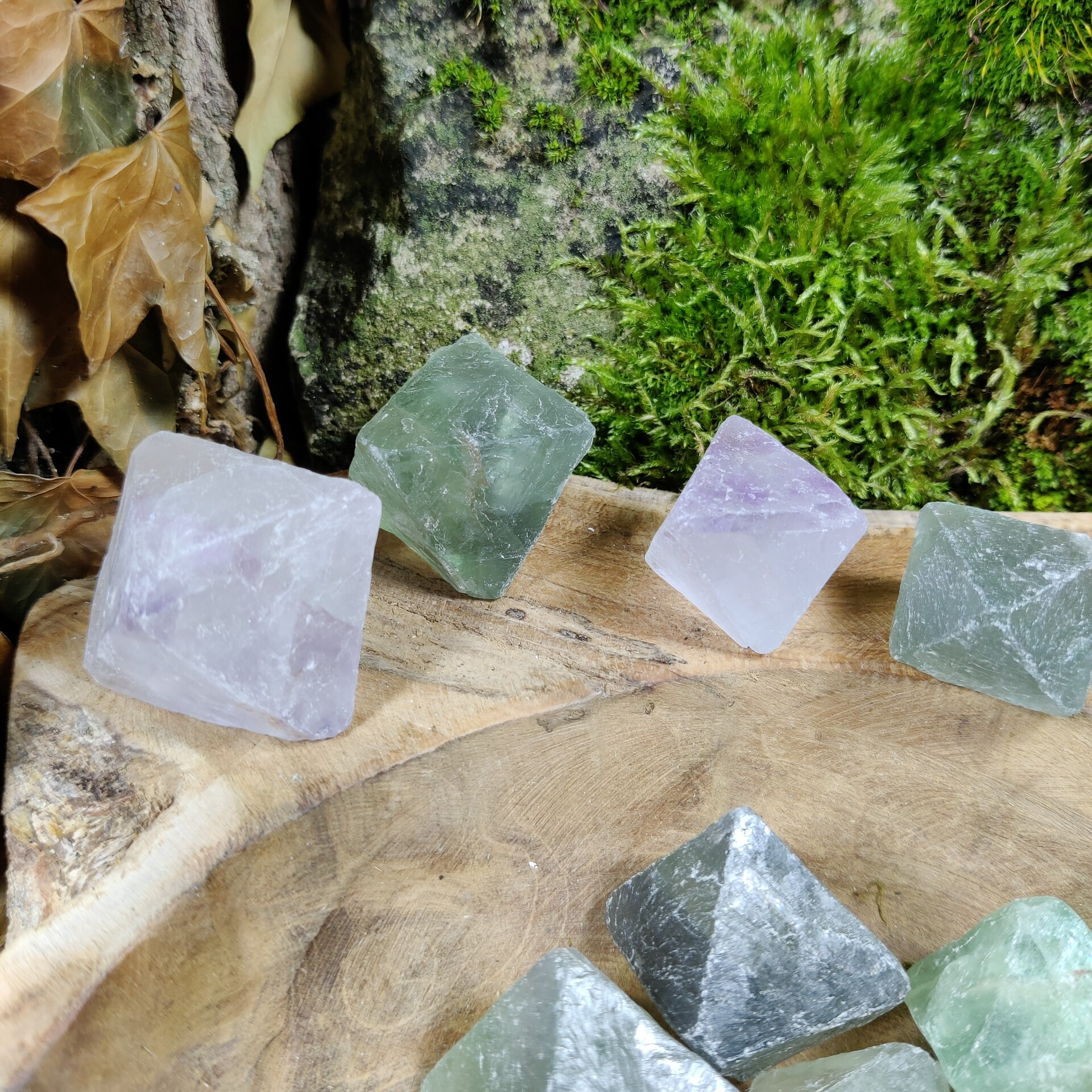 Fluoriet Oktaeder - 2,5 tot 12 cm