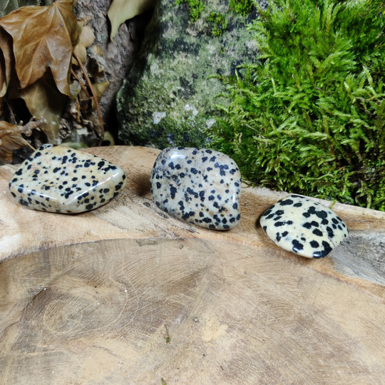 Trommelsteen Dalmatiër Jaspis AA Kwaliteit