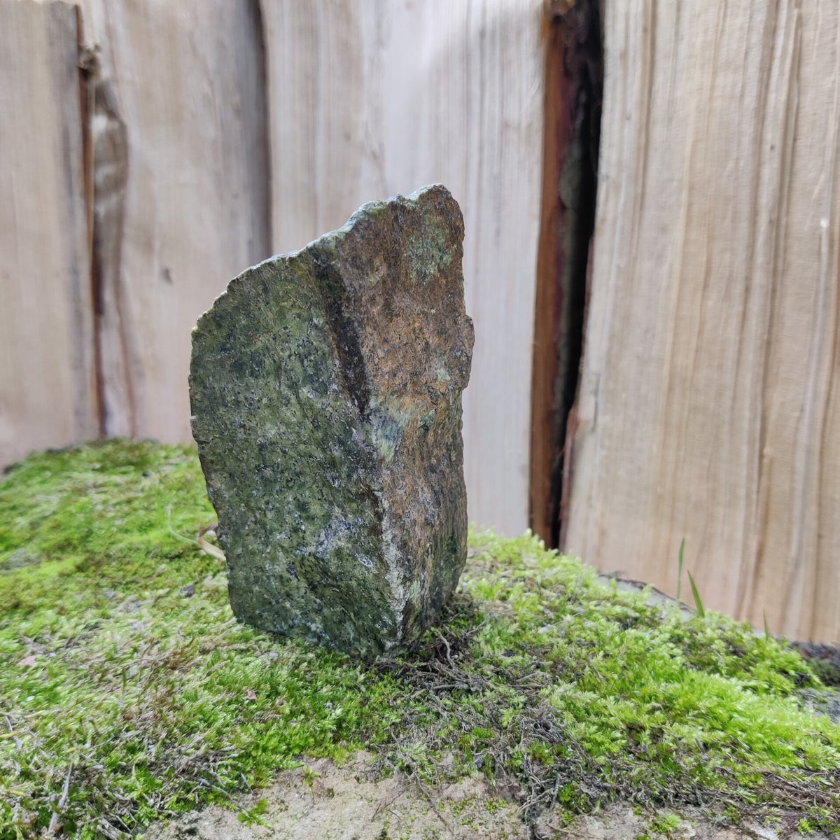 Atlantisiet - Ruw - 11 cm - 380 Gram - Serpentijn met Stichtiet ...