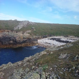 20160618_170307.jpg