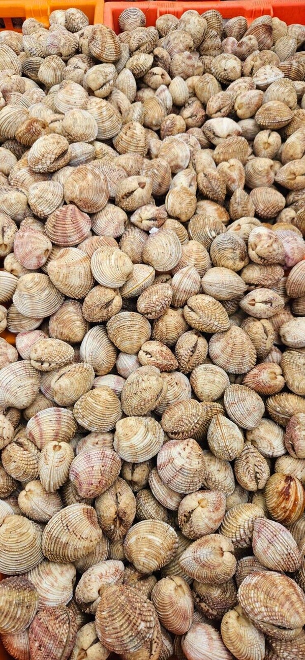 Praire 5 kg