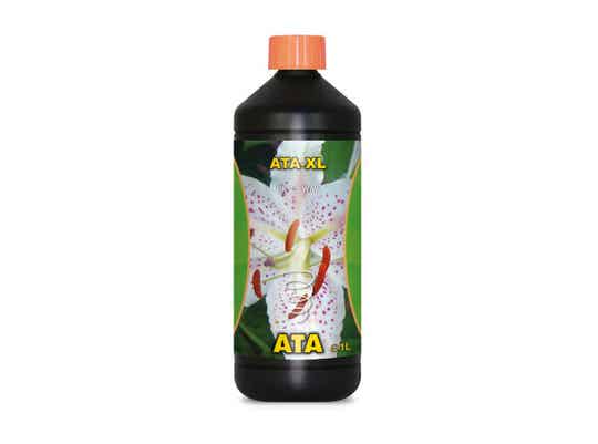 Atami ATA XL