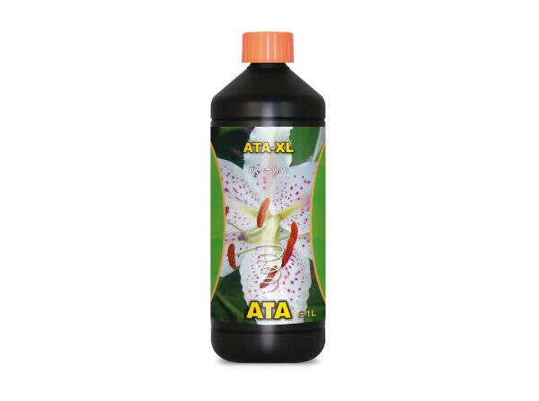 Atami ATA XL