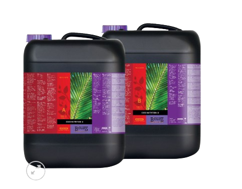 Atami B´cuzz Coco A+B 10L