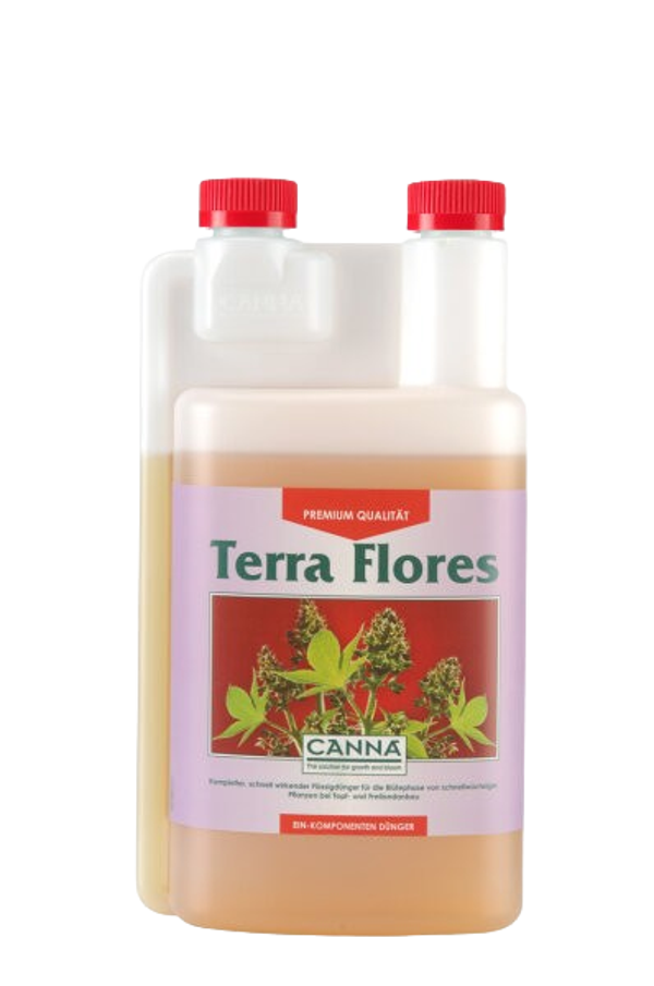 Canna Terra Flores