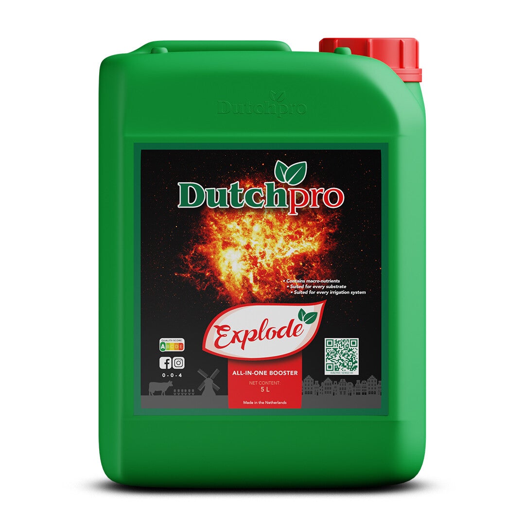 DutchPro, Explode 5L