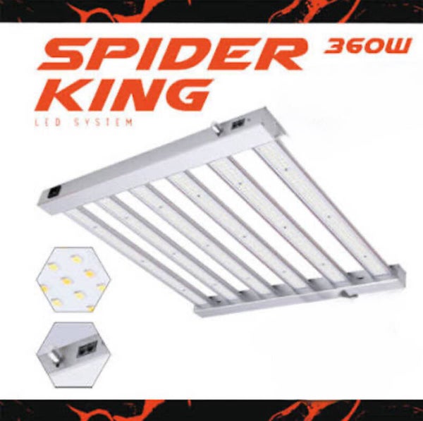 LED Spider King 360W Vanguard